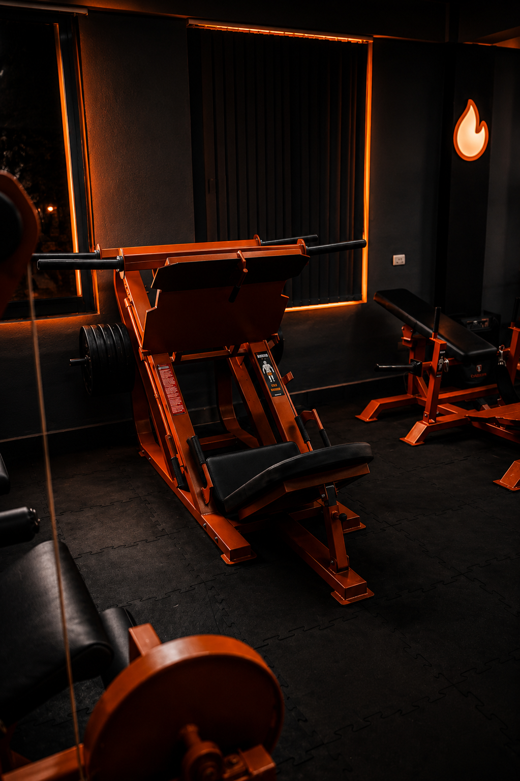 Sala de pesas IGNESS GYM