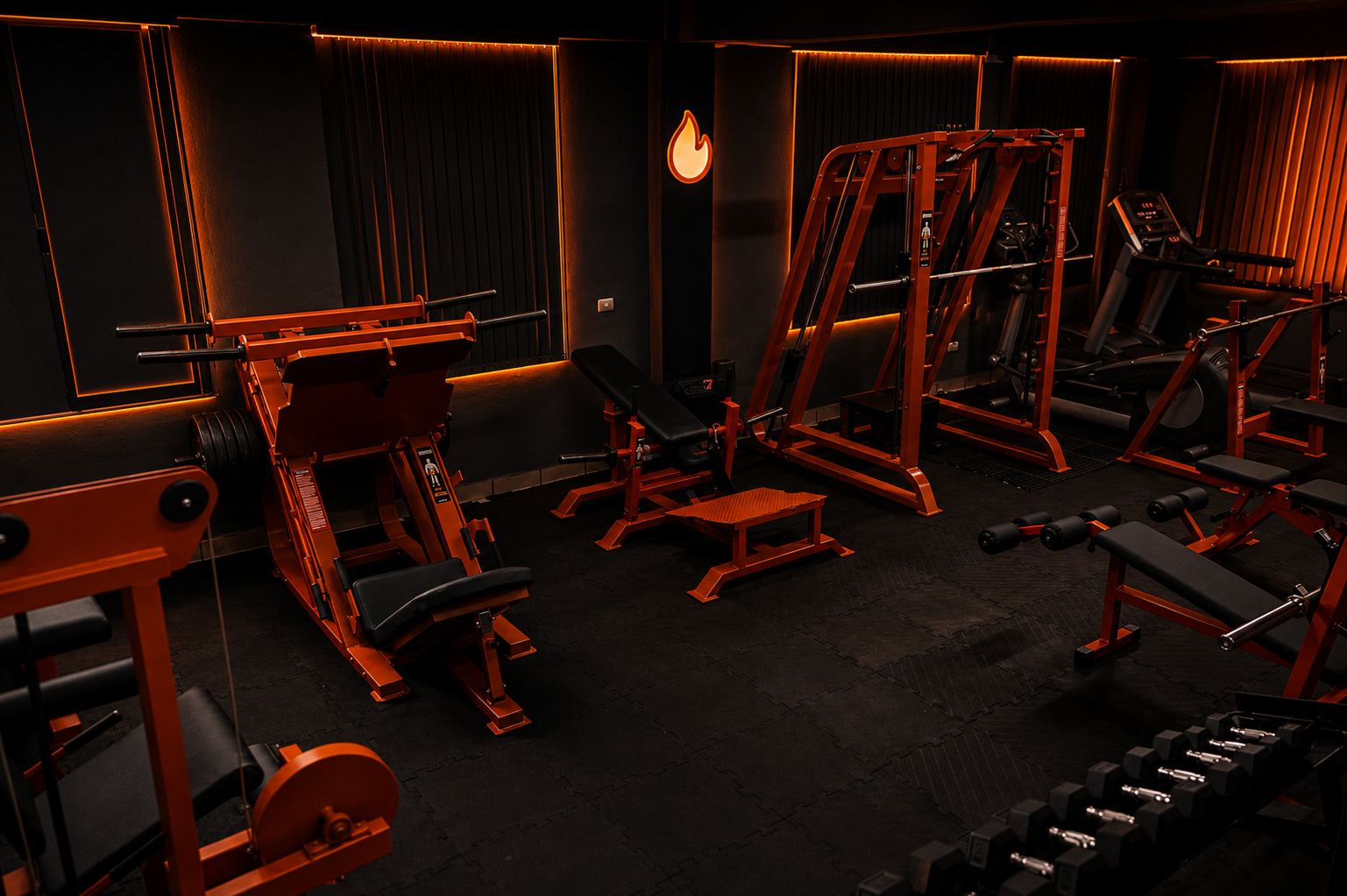 Zona de cardio gym Xalapa